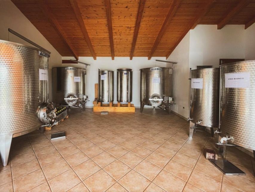 Alghero: Dinner in the Vineyard with Wine - Pasta, ravioli, fregola, and local sauces