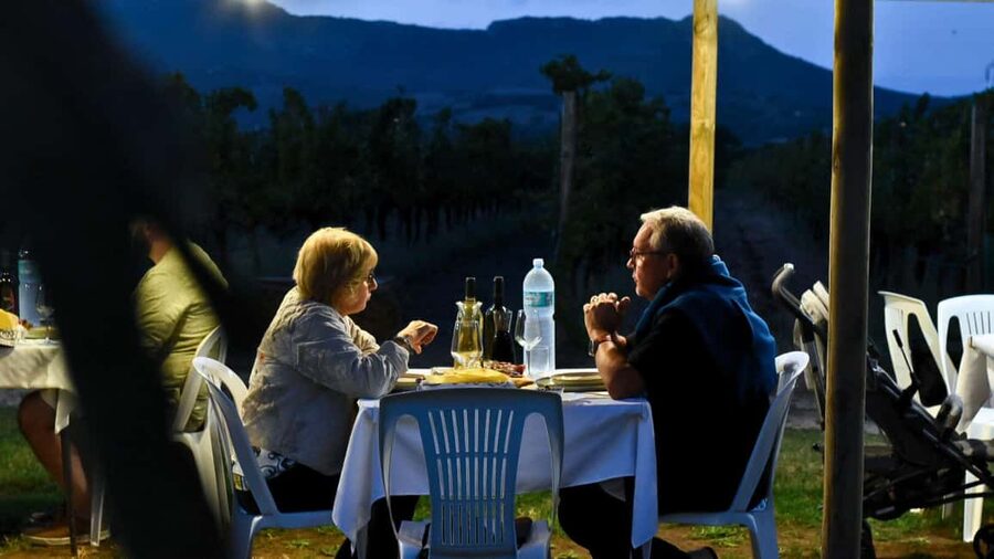 Alghero: Dinner in the Vineyard with Wine - Porcetto, lamb, wild boar, and pane zicchi