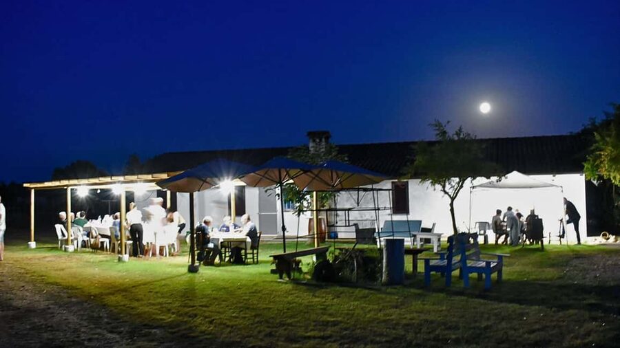 Alghero: Dinner in the Vineyard with Wine - How much value does the $90.63 price offer?