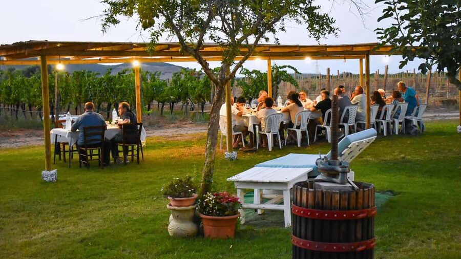 Alghero: Dinner in the Vineyard with Wine - Walking through the cellar and vineyard