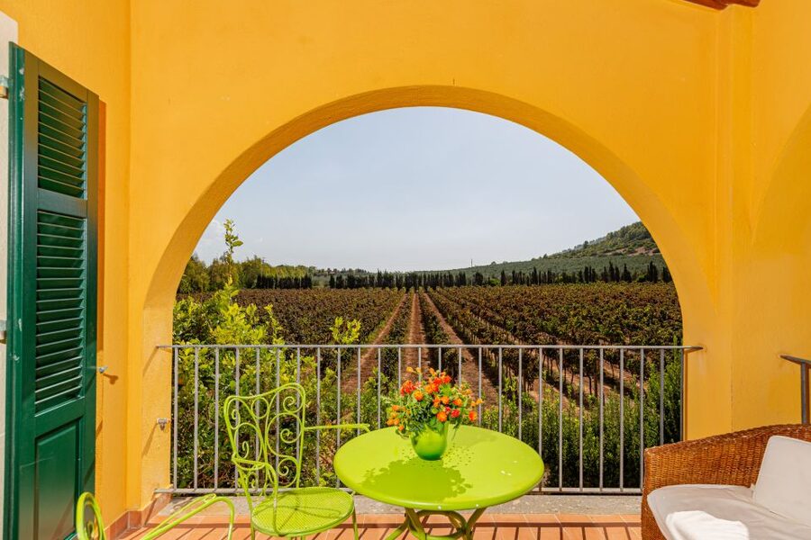Alghero: Wine and Olive Oil Tasting at a Local Farm - Why this farm visit works well near Alghero