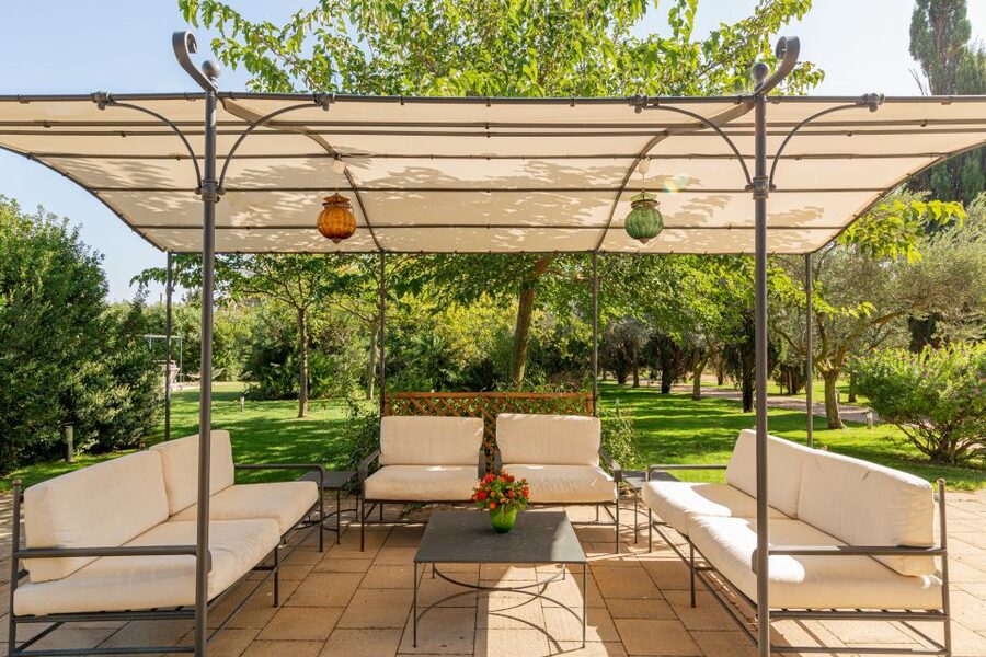 Alghero: Wine and Olive Oil Tasting at a Local Farm - Walking among the vineyard and olive trees