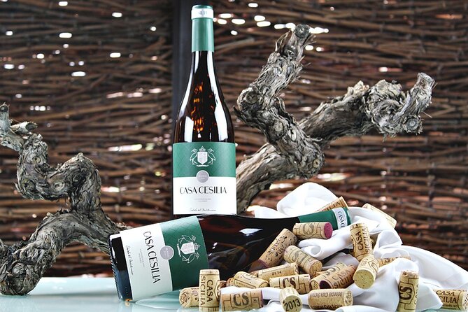 Alicante: Old Winery with Tastings & Gaudí's style of Church - From Alicante to Novelda in about 30 minutes