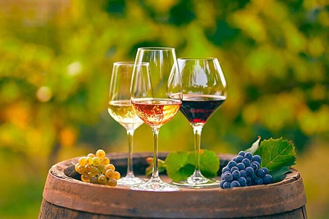 Alicante: Old Winery with Tastings & Gaudí's style of Church - What the guide adds to the day