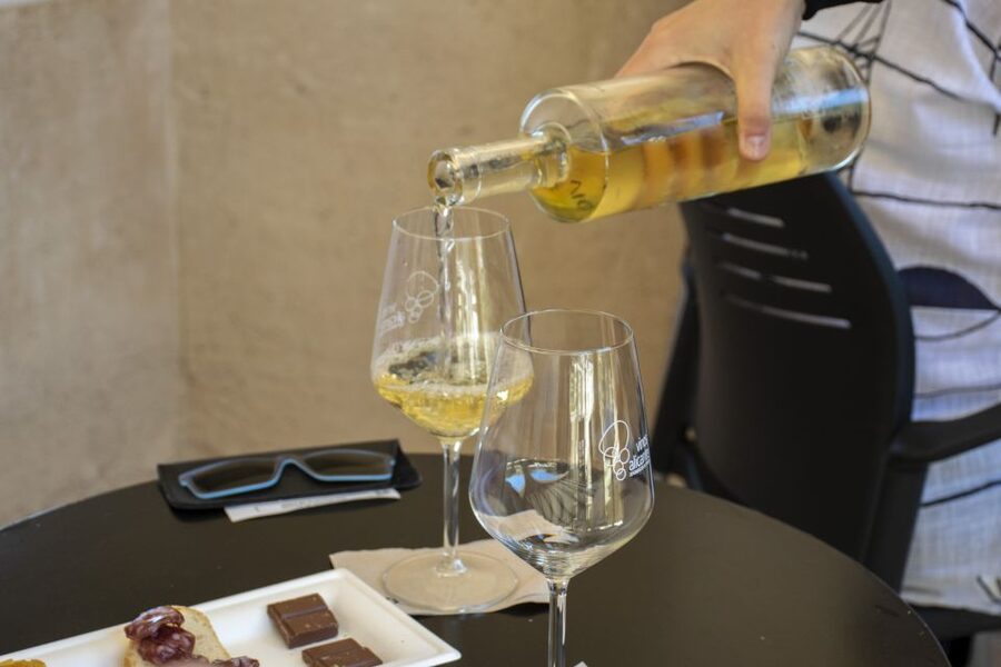 Alicante: Santa Bárbara Castle Wine Tasting & Tapas - The premium option for red wine fans