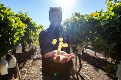 Alicante: Small-Group Countryside Wine Tour with 4 Tastings