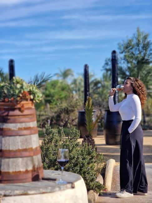 Alicante; Wine Tour, Wineries, Food and Transfer included - Food pairings, special diets, and the pace of tasting