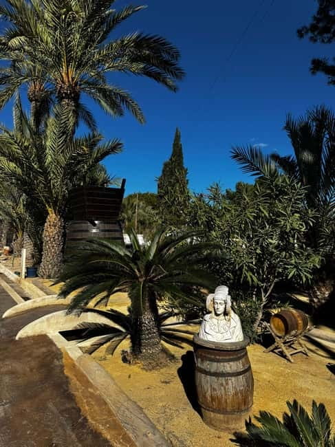 Alicante; Wine Tour, Wineries, Food and Transfer included - Timing, comfort, and what to bring