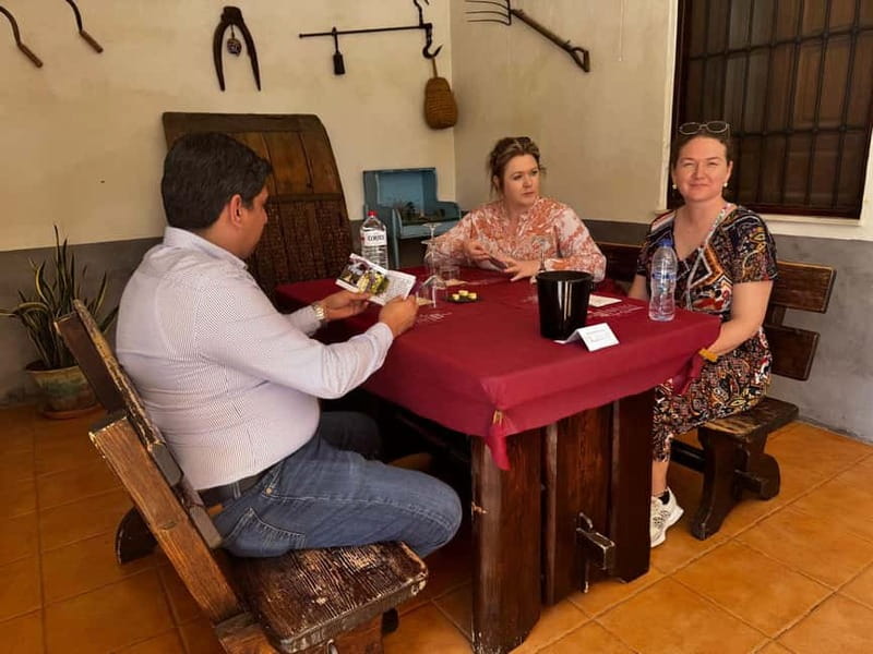 Alicante; Wine Tour, Wineries, Food and Transfer included - Is $77 a fair price?