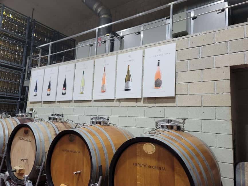 Alicante:Winery Tour+ Wine Tasting + Old castle - Key points to know before booking