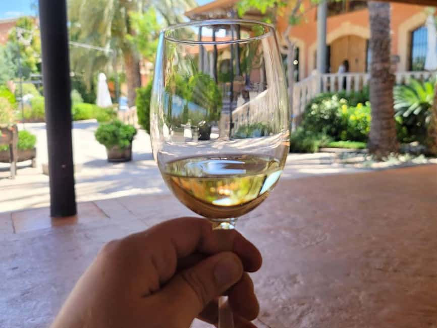 Alicante:Winery Tour+ Wine Tasting + Old castle - From grapes to production rooms