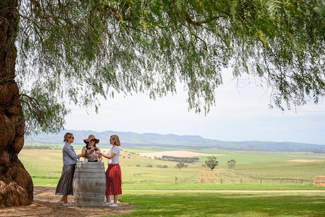 All Inclusive Barossa Valley Food and Wine Tour - Pindarie Winery sets the tone