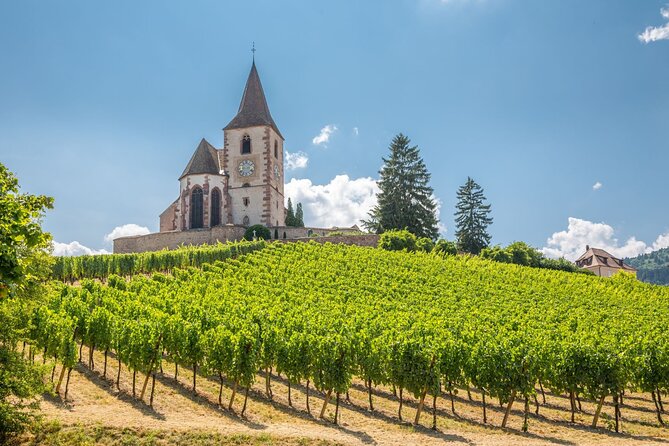 Alsace Full Day Wine Tour from Colmar - Following the wine route from Colmar