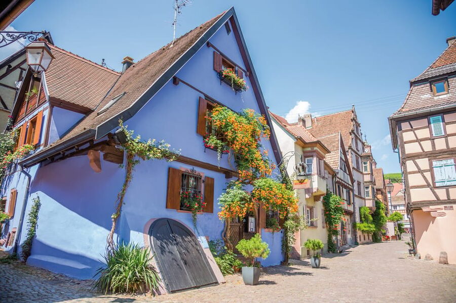 Alsace: Full-Day Wine Tour & Tastings from Strasbourg - Ribeauvillé, Riquewihr, and five Grand Crus