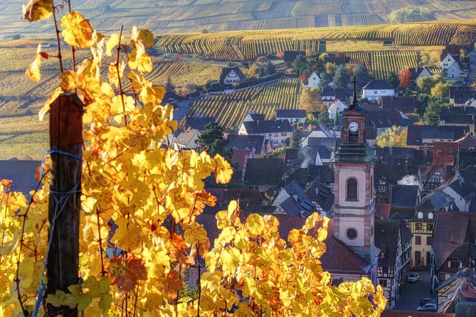 Alsace Half Day Wine Tour from Colmar - Key things to know before you book
