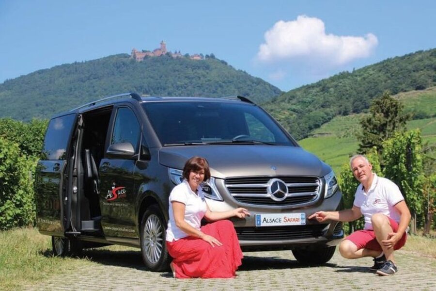 Alsace: Half-Day Wine Tour from Colmar - Timing, pace, and practical limits