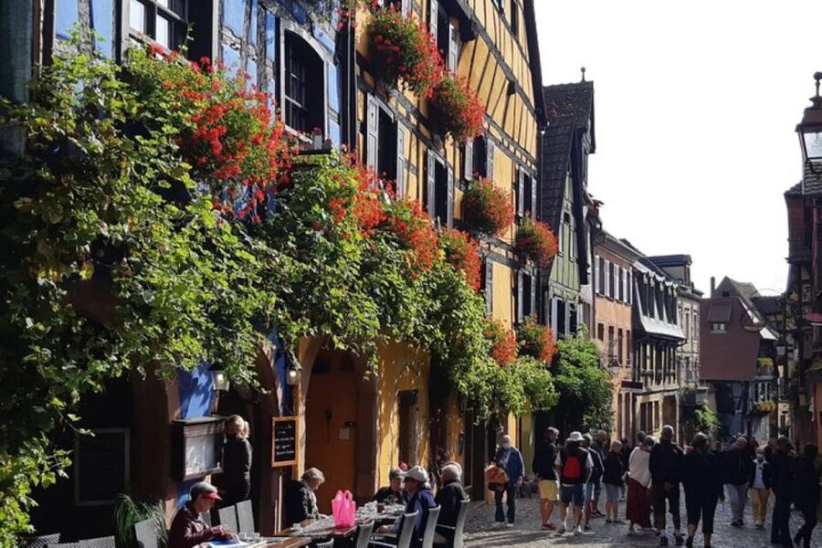 Alsace: Half-Day Wine Tour from Colmar - Should you book the Alsace half-day wine tour?