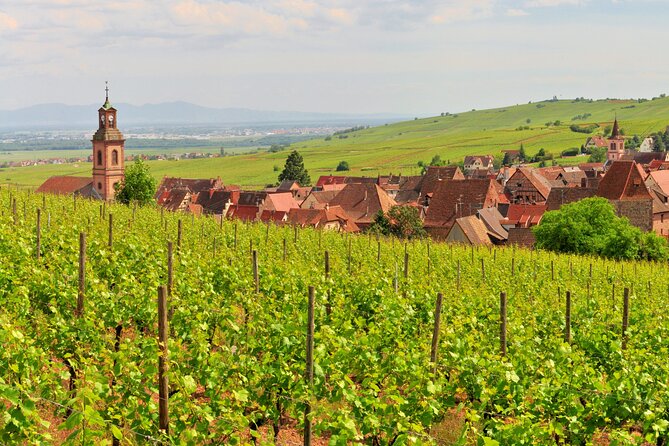 Alsace Wine Route Small Group Half-Day Tour with Tasting from Strasbourg - The second cellar and the value of comparison