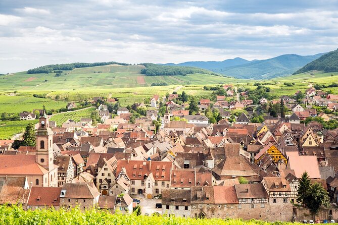 Alsace Wine Route Small Group Half-Day Tour with Tasting from Strasbourg - What you may taste, and how much