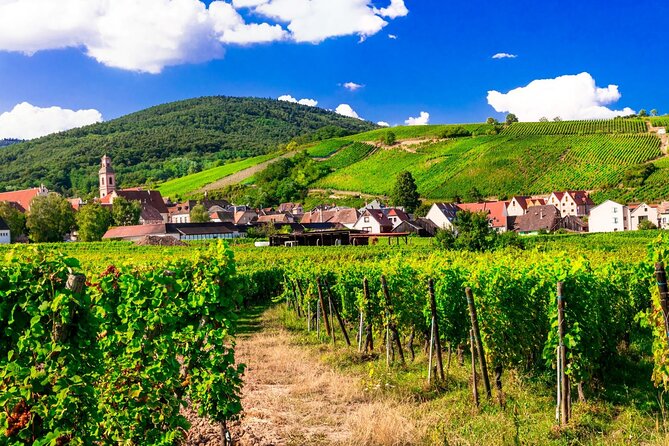 Alsace Wine Route Small Group Half-Day Tour with Tasting from Strasbourg - Is $157.28 a fair price?
