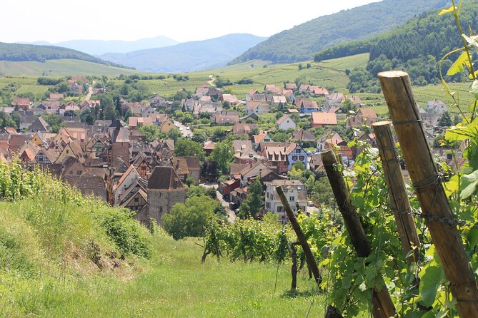 Alsace Wine Route Small Group Half-Day Tour with Tasting from Strasbourg - Meeting the minivan at Strasbourg station