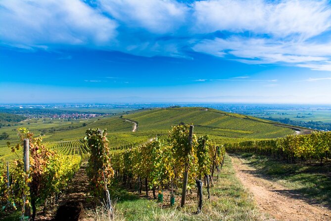 Alsace Wine Route Wineries & Tasting Small Group Guided Tour from Strasbourg - Choosing lunch in an Alsace village