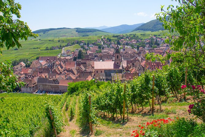 Alsace Wine Route Wineries & Tasting Small Group Guided Tour from Strasbourg - The last tastings and the people behind the bottles