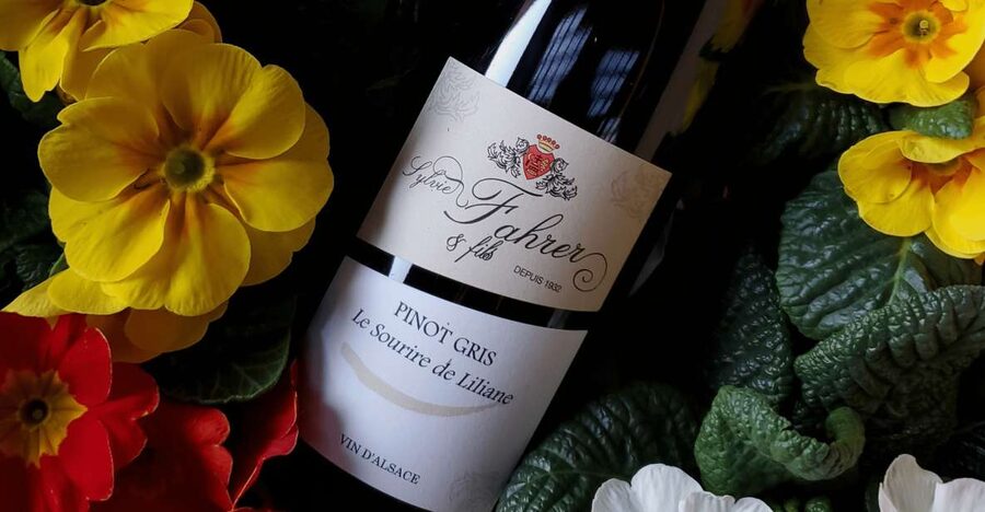Alsace: Winery Tour and Alsatian Wine Tasting ENGLISH - Choosing the right 90-minute format