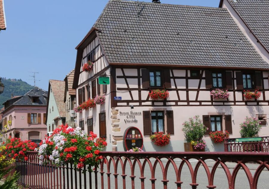 Alsace: Winery Tour and Alsatian Wine Tasting ENGLISH - What the wines teach you about Alsace