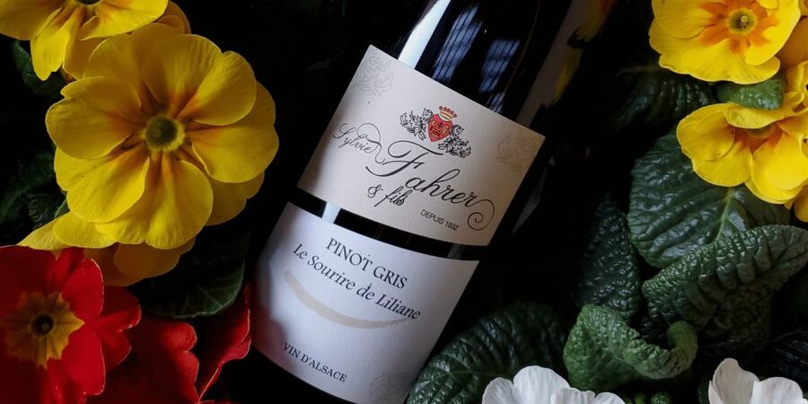 Alsace: Winery Tour and Alsatian Wine Tasting ENGLISH - From cellar to underground tanks