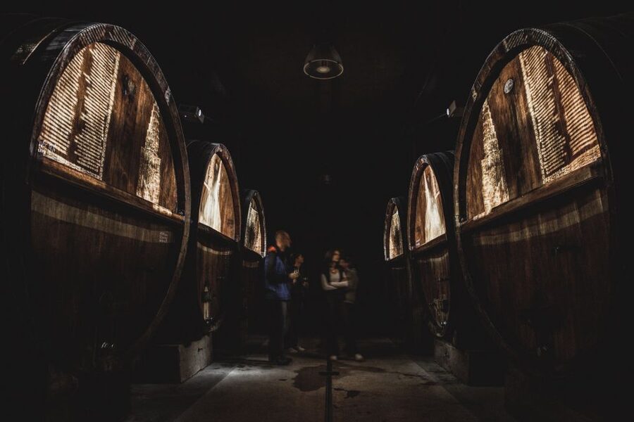 Alsatian Guided Wine Tasting and Immersive wine cellar tour - The 180-degree film in the cellar