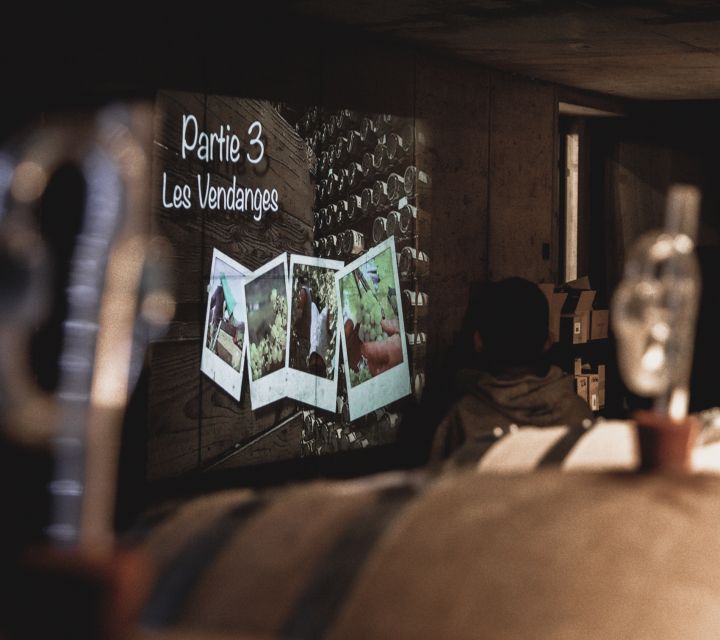 Alsatian Guided Wine Tasting and Immersive wine cellar tour - A 90-minute visit with an extra hour to browse