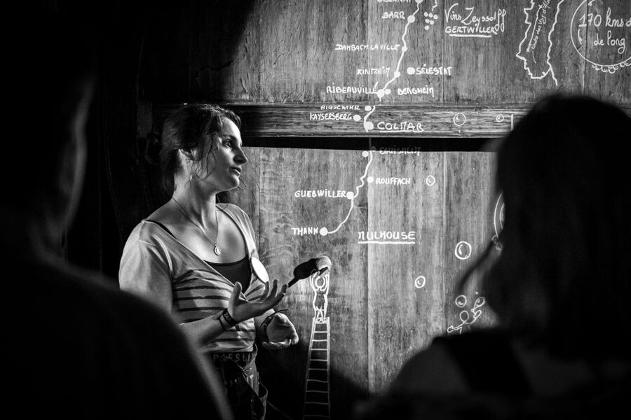Alsatian Guided Wine Tasting and Immersive wine cellar tour - A family winery with a personal tone
