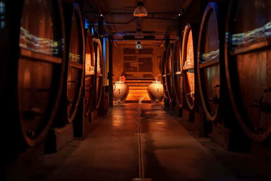Alsatian Guided Wine Tasting and Immersive wine cellar tour - What the $22 price really buys you
