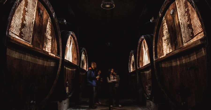 Alsatian Guided Wine Tasting and Immersive wine cellar tour - Five Alsace wines, not just one familiar white