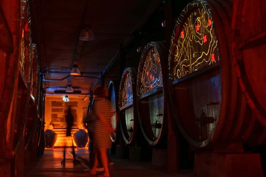 Alsatian Immersive Wine Tour, Wine Tasting & Alsatian lunch - A family winery with 247 years of roots