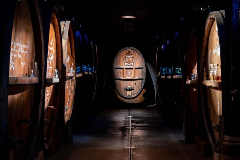 Alsatian Immersive Wine Tour, Wine Tasting & Alsatian lunch - Should you book it?