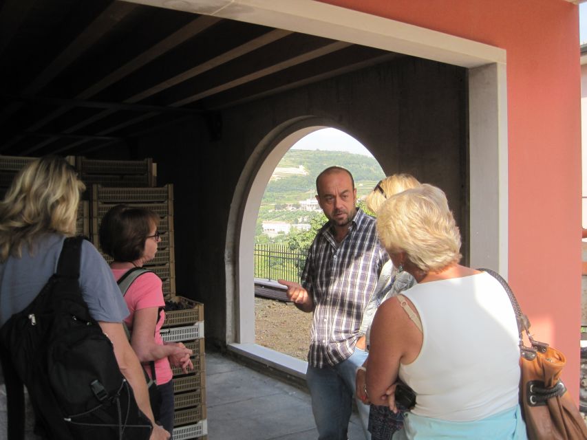 Amarone Wine Tour & Tasting from Venice, Padua or Verona - What to know before you book