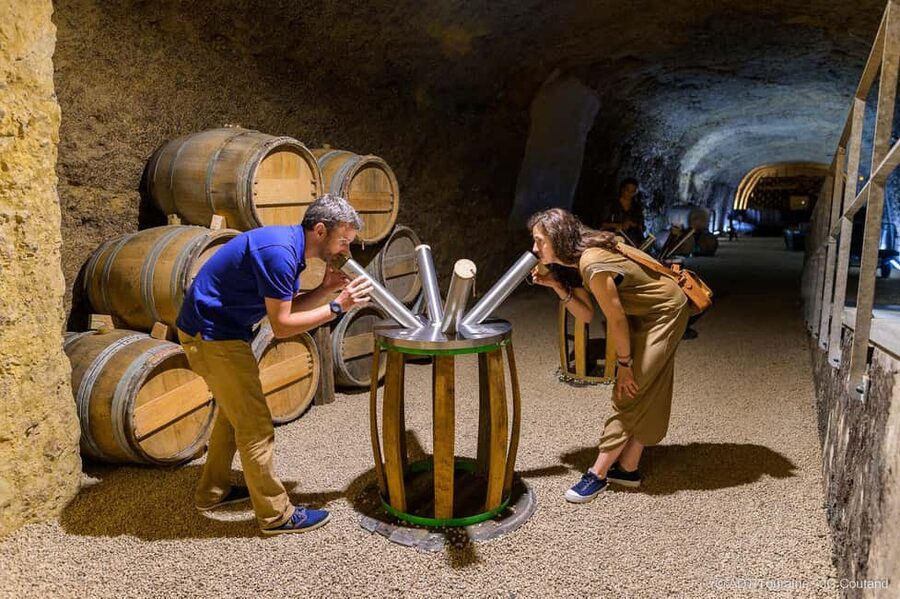 Amboise: Caves Ambacia Visit and Wine Tasting - How this compares with a château day