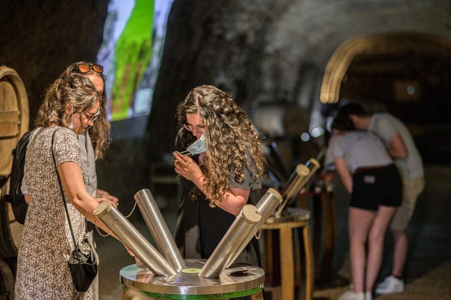 Amboise: Caves Ambacia Visit and Wine Tasting - The Vintages Odyssey and 150 years of bottles