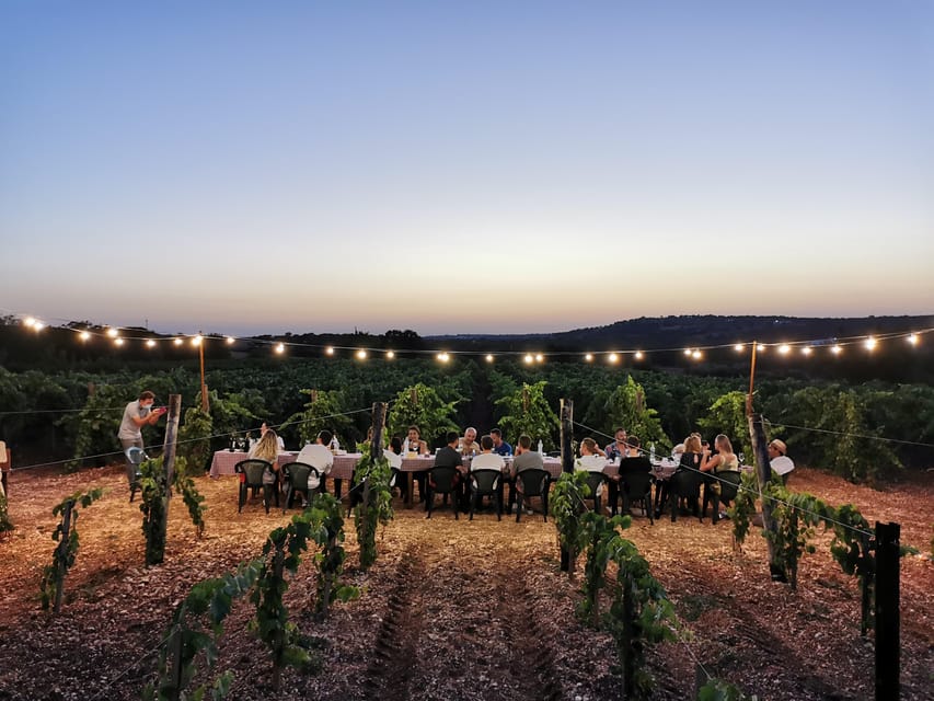 Apulia: Guided Wine Tasting with Local Appetizers - A farm tasting with the vines under your feet