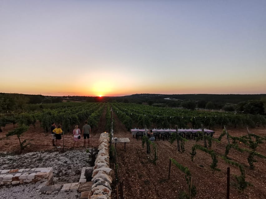 Apulia: Guided Wine Tasting with Local Appetizers - Four wines, four different looks at Apulia