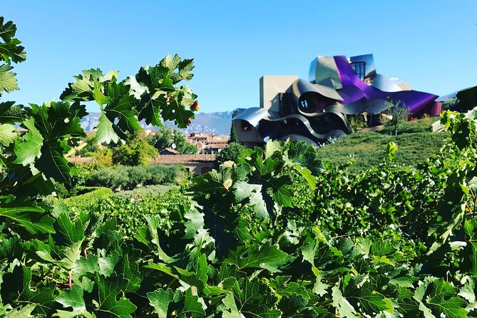Architectural Rioja Small Group Wine Tour with Lunch from Bilbao - The guides shape the experience