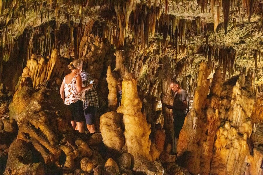 Argostoli: Melissani & Drogarati Cave Tour with Wine Tasting - The guides can shape the whole day