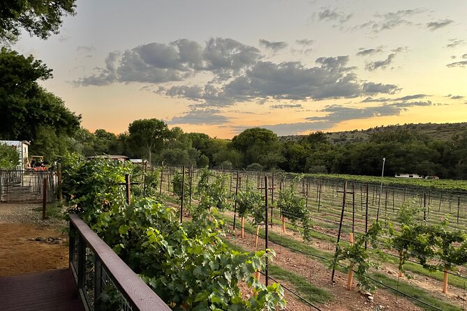Arizona Winery All-Inclusive Tour with Lunch & Tastings - Key points to know before booking