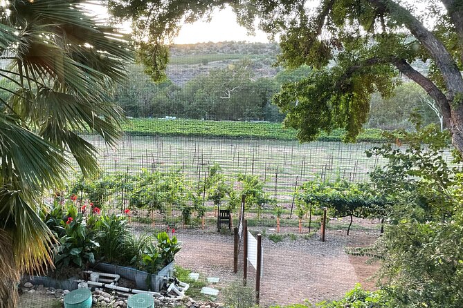 Arizona Winery All-Inclusive Tour with Lunch & Tastings - Oak Creek Vineyards brings patio time and lunch