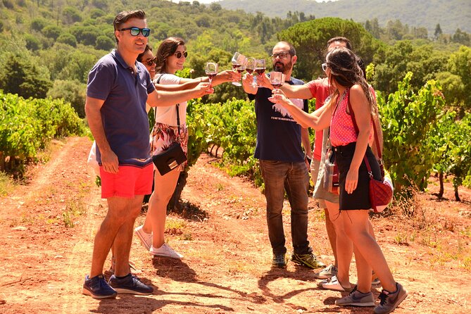 Arrabida and Sesimbra Small-Group Day Trip from Lisbon with Wine Tasting - José Maria da Fonseca and the first tasting