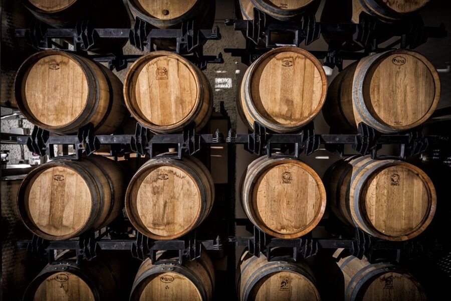 Assisi: Organic Wine and Cheese Tasting - Cheese, jams, balsamic, and warm bruschetta