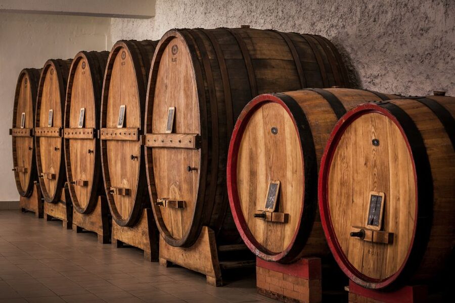 Assisi: Organic Wine and Cheese Tasting - Maria and the Tili family connection