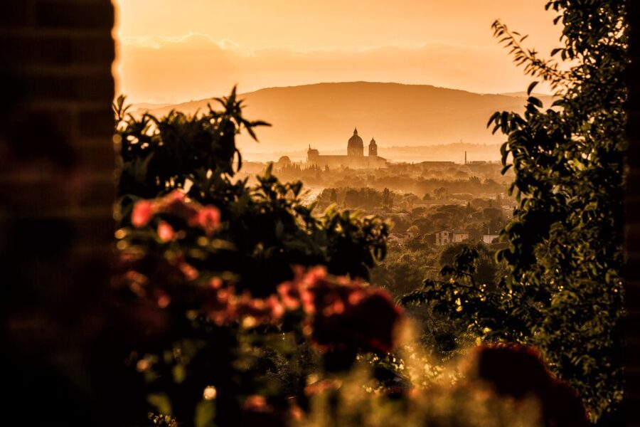 Assisi: Organic Wine and Cheese Tasting - Is $29 a fair price?